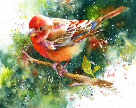 Франк Гонсалес птицы картины