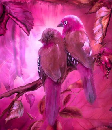 Птицы живопись маслом