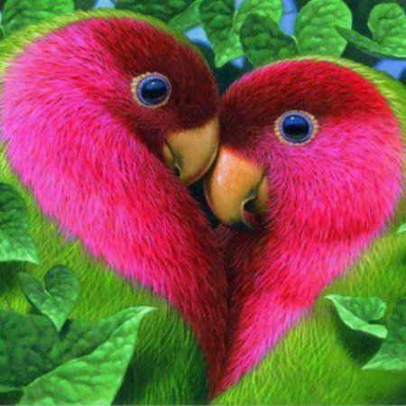 Фэнтези птицы