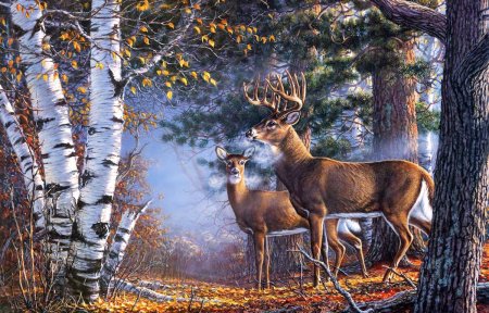 Художник James Meger