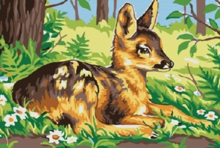 Рисунки природы и животных