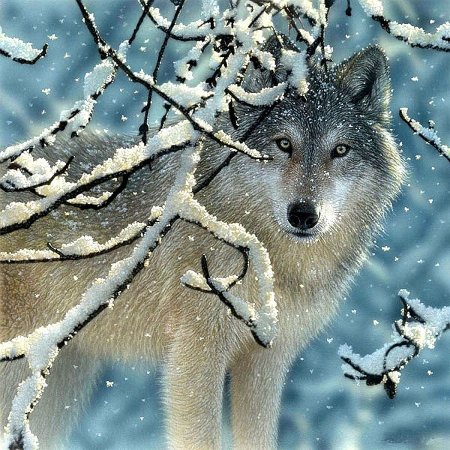 Коллин Богл художник картины