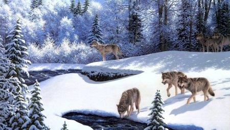 Сказочный зимний лес