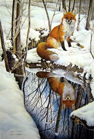 Зимний пейзаж с лисой