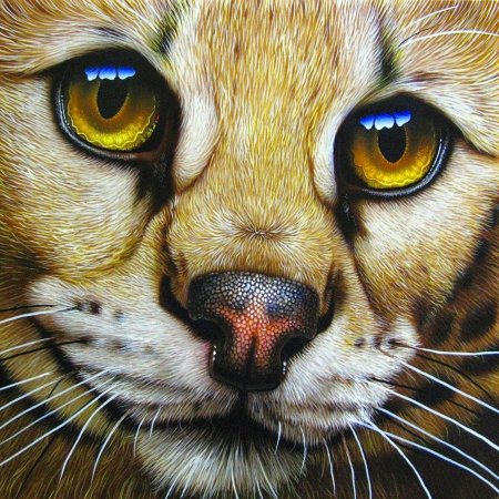 Jurek Zamoyski художник