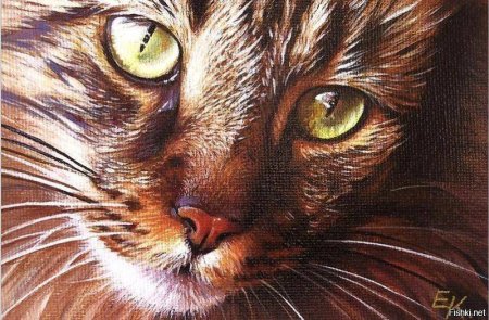 Художник Колотуша Елена (Elena Kolotusha)