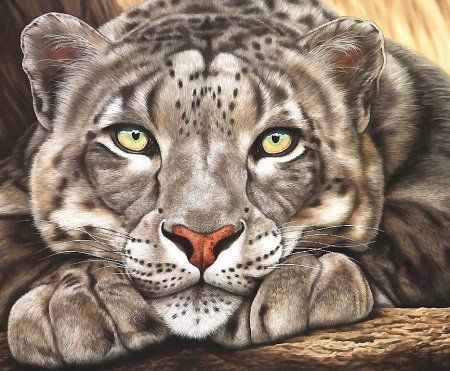 Реалистичные рисунки животных