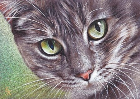 Художник Колотуша Елена (Elena Kolotusha)