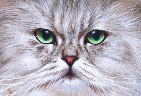 Елена Колотуша художник