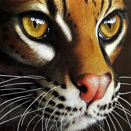 Jurek Zamoyski художник