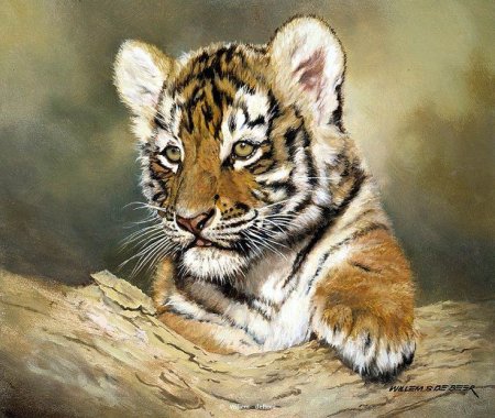 Картины с животными