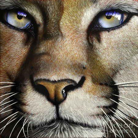 Jurek Zamoyski художник