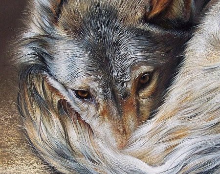 Реалистичные картины животных