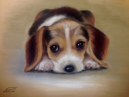 Собака пастелью сухой