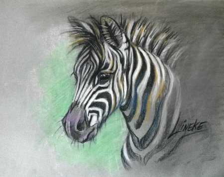 Зебра пастелью