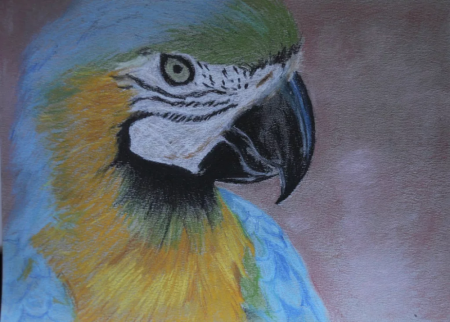 Животные пастелью