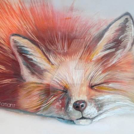 Лисица пастелью для начинающих