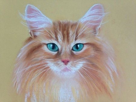 Кошечка пастелью