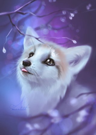 Красивые лисы