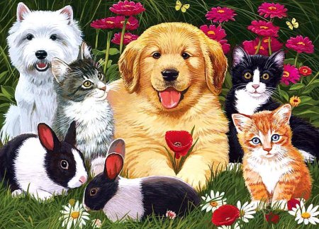 Домашние любимцы