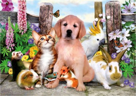 Pets and other animals 3 класс Верещагина