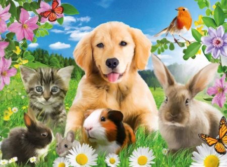 Картина домашние животные