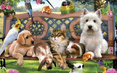 Фон с домашними животными