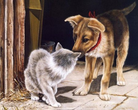 Щенки и собаки