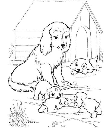 Домашние животные