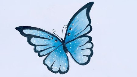 Красивые бабочки