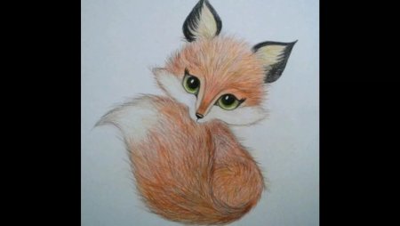 Рисунок собаки карандашом для срисовки