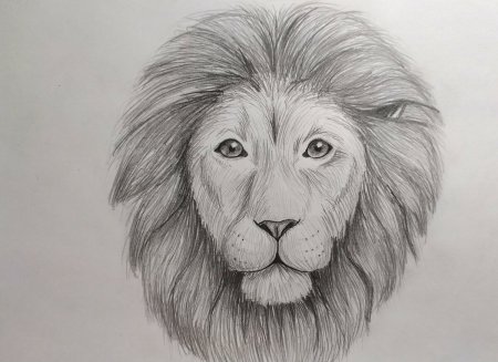 Корова для рисования