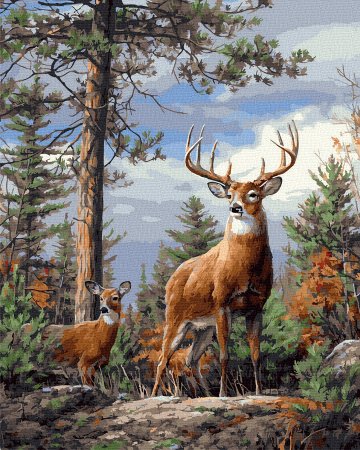 Алмазная мозаика олени