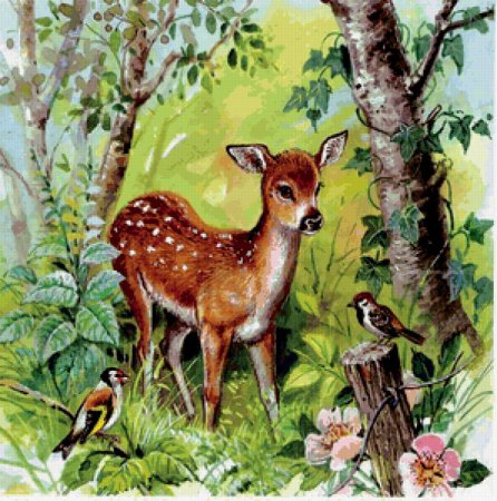 Пришвин олениха