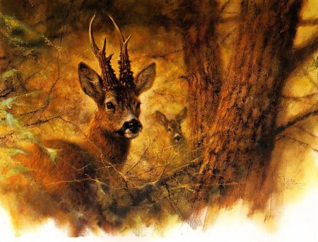 Rien Poortvliet картины животные