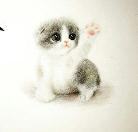 Очень милые рисунки