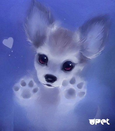 Милые животные