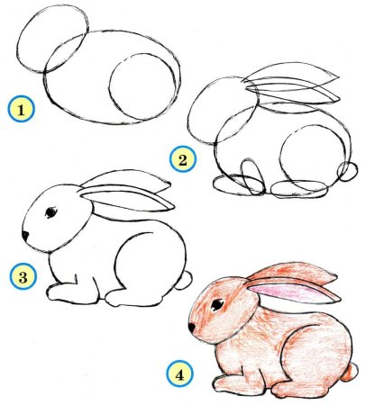 Рисование животных