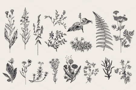 Животные весной