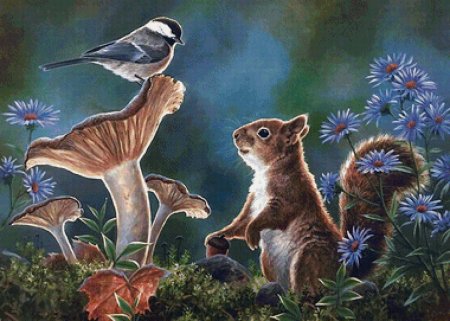 Экология животных