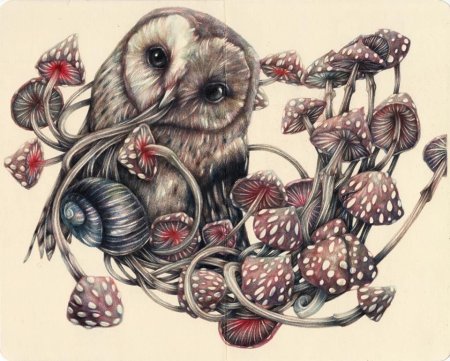 Животные весной