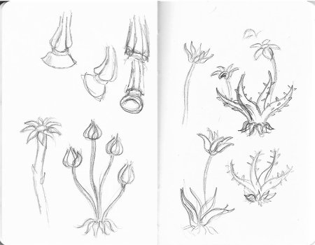 Птица рисунок