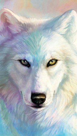 Картина по номерам кошка