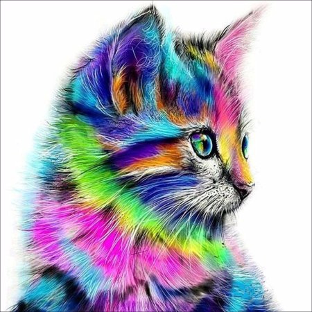 Аватарки кошки