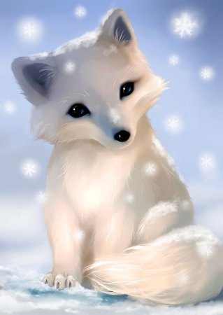 Аватарка животного
