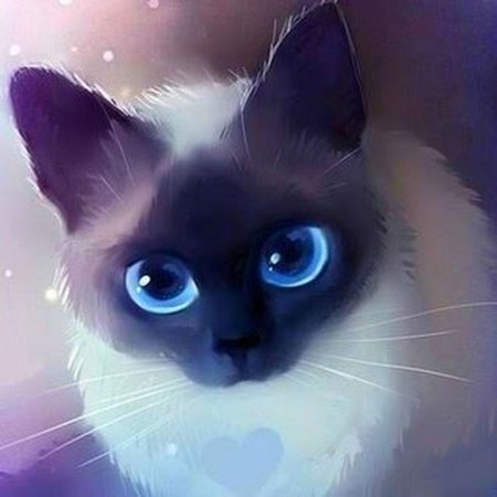 Котики арт