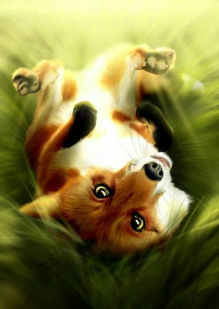 Аватар кот