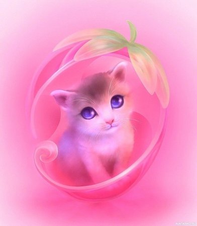 Картины котиков и собачек