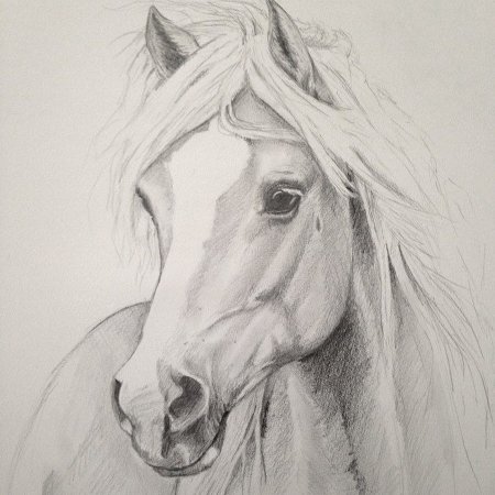 Лошадь рисунок карандашом