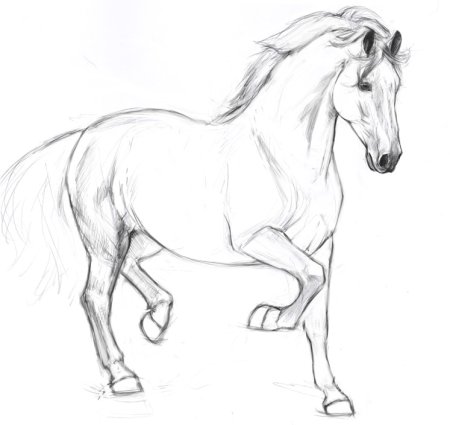 Лошадь рисунок
